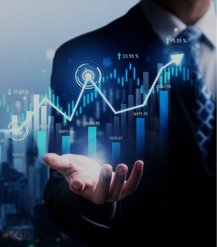 Business growth execution